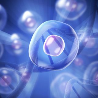 Protegge le cellule dallo stress ossidativo